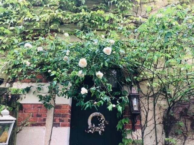 Maison D'Hotes "Les Volets Verts" Et Sa Brocante Ecueille Exterior foto