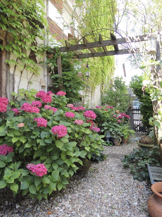 Maison D'Hotes "Les Volets Verts" Et Sa Brocante Ecueille Exterior foto